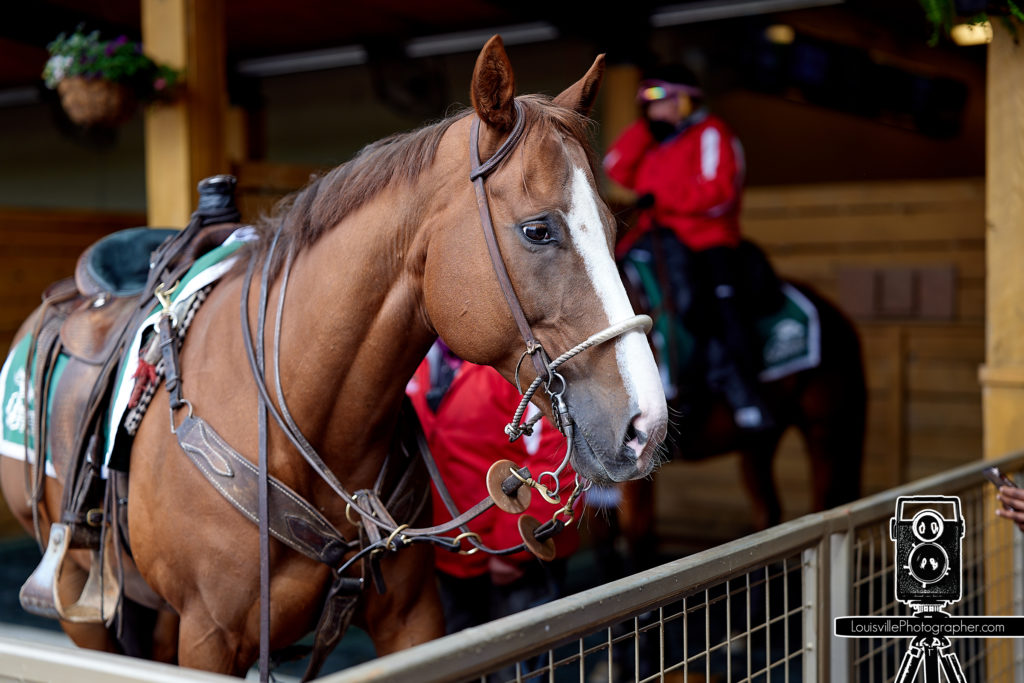 Cincinnati Event Photographers - Belterra Park 1st day of horse racing